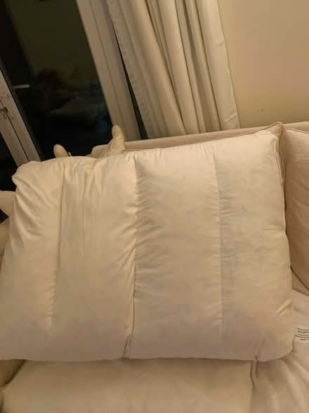 Photo of free 6 large Feather cushions (Shillingstone. Dorset) #2
