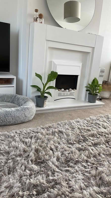 Photo of free Fireplace with Electric Fire (Bainsford FK2) #2