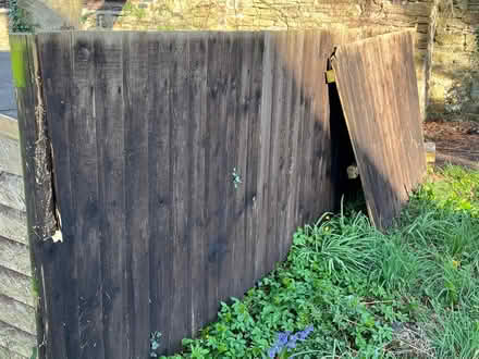 Photo of free garden fencing (Presteigne LD8) #1