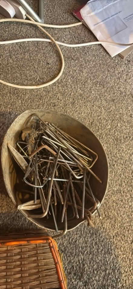 Photo of free Garden pins / pegs (Priory Ward EX2) #1