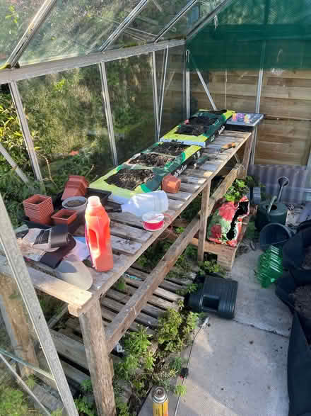 Photo of free 8' x 6' Greenhouse (Project) (Sandbach CW11) #3