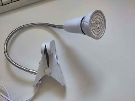 Photo of free Growing Lamp (St Ives PE27) #1