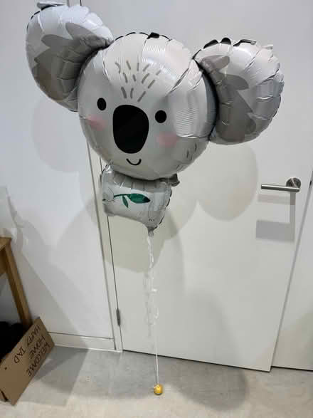 Photo of free Koala shaped helium balloon (N5 2bq) #1