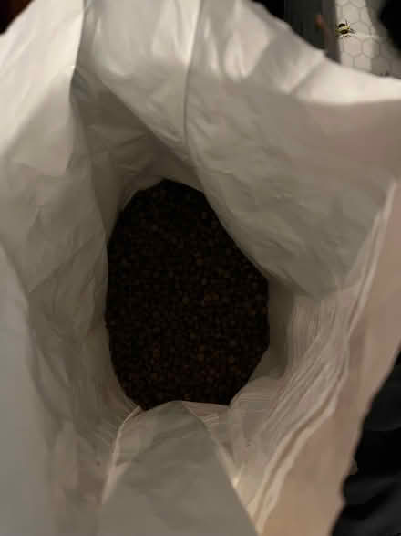 Photo of free Mix of dry dog food (Newton Mearns G77) #2