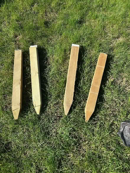 Photo of free Wooden stakes (Hoddesdon EN11) #1