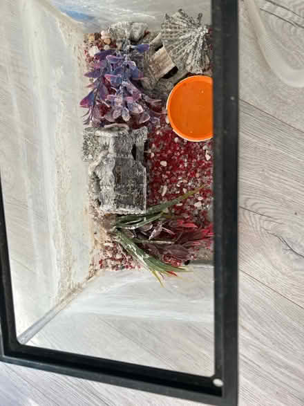 Photo of free Old Mini Fish Tank (Beckenham) #1