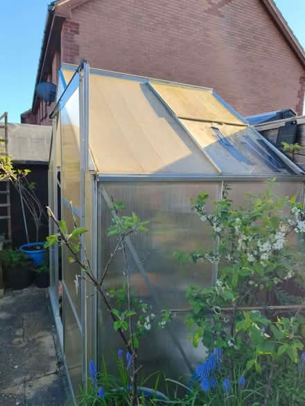Photo of free Greenhouse (Greater Leys OX4) #2