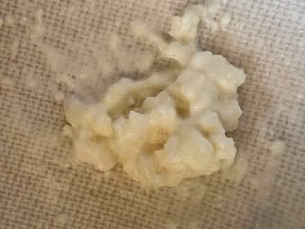 Photo of free Milk Kefir crystals (BA13) #1