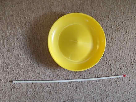 Photo of free Plate spinning plate & stick (Donnington OX4) #1