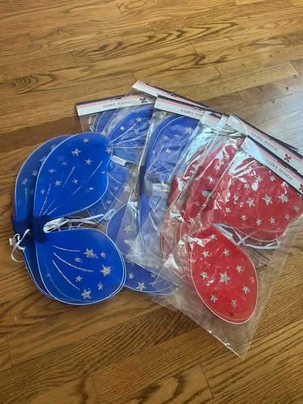 Photo of free Fairy wings (Royal Oak, MI) #1