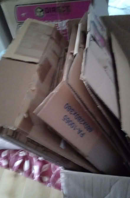 Photo of free Moving Boxes (Tivoli GL51) #1