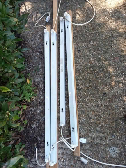 Photo of free 4 x neon lights (RG6 near Palmer Park) #1