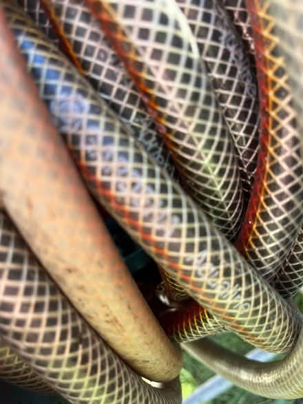 Photo of free Gardena hose pipe and frame (CM12) #3