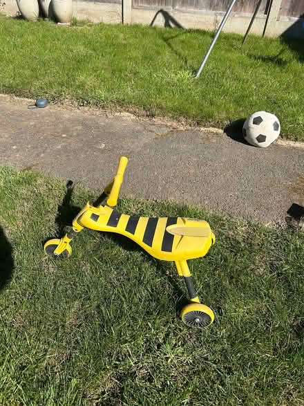Photo of free Scuttlebug (Hoddesdon EN11) #1