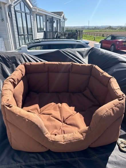 Photo of free Large Dog Bed (Wickford SS11) #1