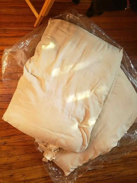 Photo of free Pillows x2 (Alamitos Beach) #1