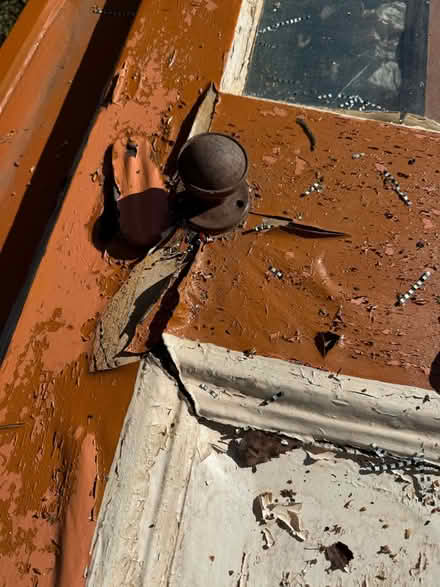 Photo of free Old Bungalow Doors (IP13) #3