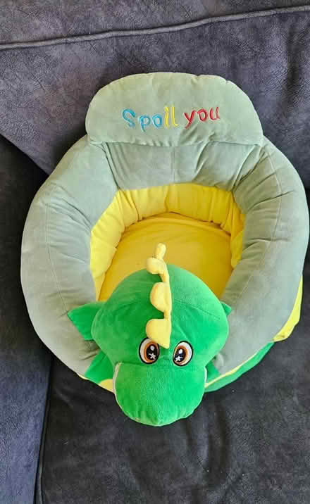 Photo of free Baby support seat (SE9) #2