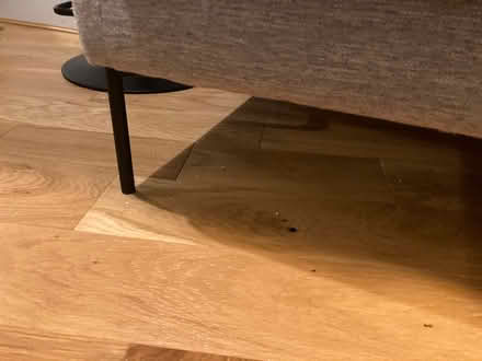 Photo of free Large 2-seater Sofa (Calton EH7) #4