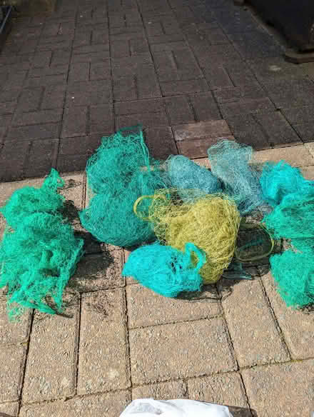 Photo of free Garden netting. (Appleby-in-Westmorland CA16) #1