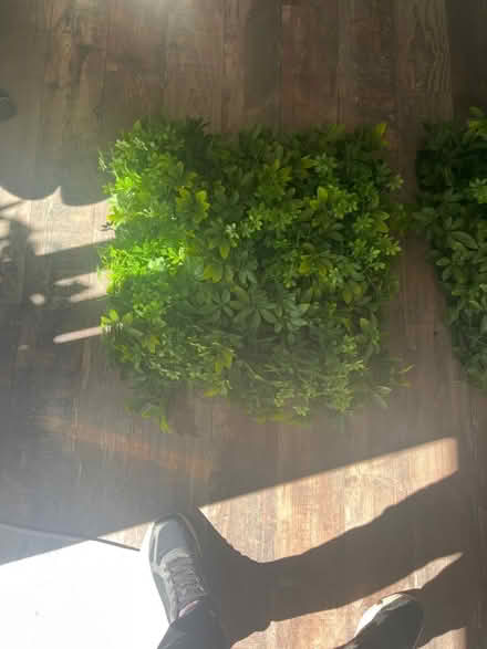Photo of free Faux living wall (Blacklands TN34) #1