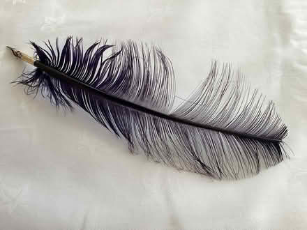 Photo of free Quill pen (Bromborough) #2