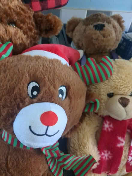 Photo of free 4 X teddy bears (Bedford MK40) #1