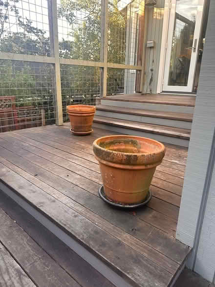 Photo of free 4 Terracotta Pots w Saucers (Kentfield) #2
