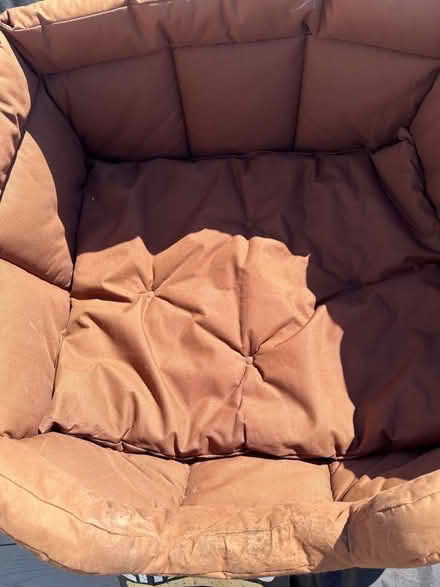 Photo of free Large Dog Bed (Wickford SS11) #2