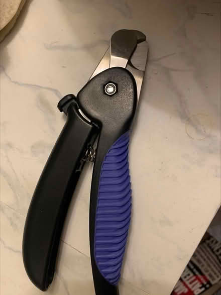 Photo of free Pet Nail Cutter (Jane and Wilson) #3