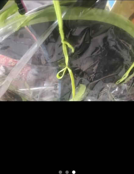 Photo of free Bike or moped canopy (Spitalfields E1) #1