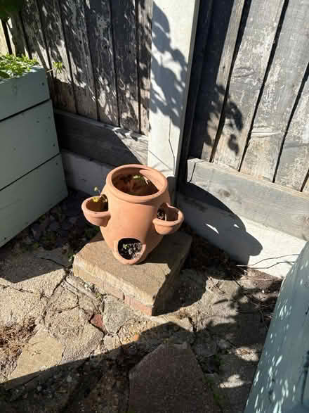 Photo of free Garden decor (Chingford London E4) #1