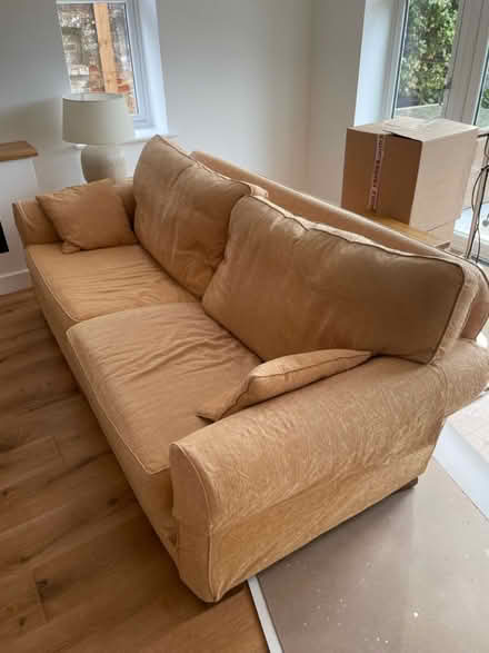 Photo of free Two Multiyork sofas in gold yellow (PO19) #1