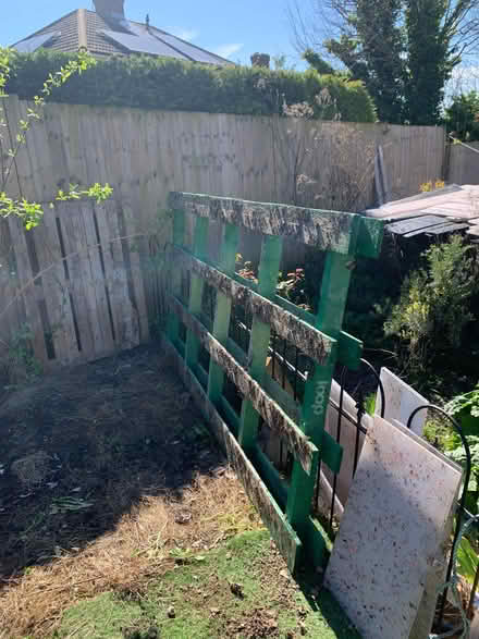 Photo of free 3 pallets (Queen's Park BN2) #2