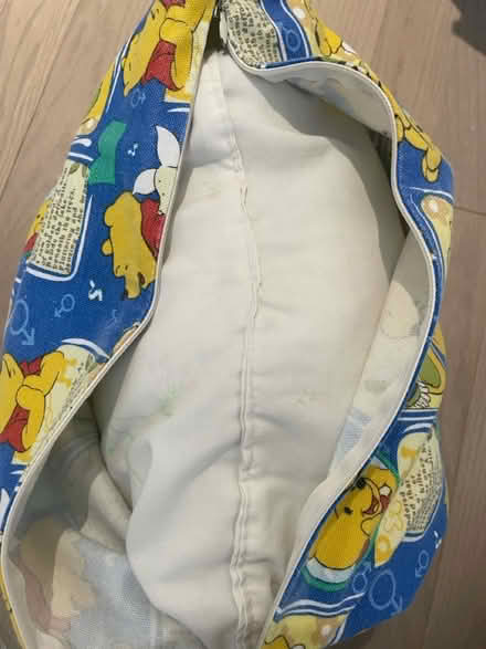 Photo of free Winnie the Pooh cushions (Kennedy/16th in Markham) #2