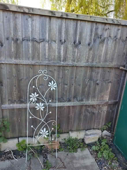 Photo of free Climbing frame for plants (Marshalswick AL4) #1