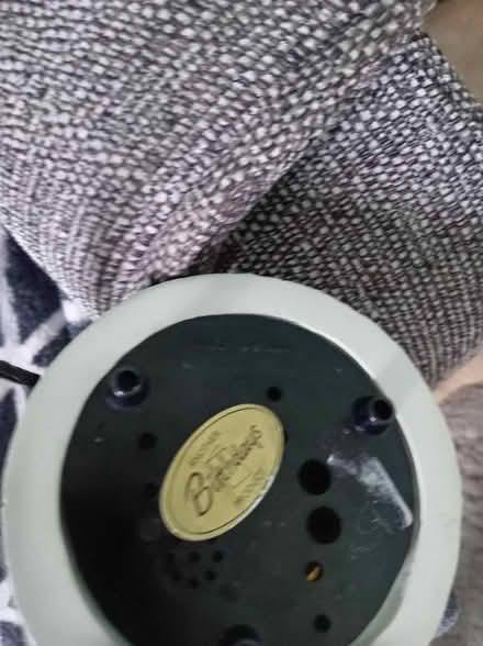 Photo of free Snowflake (Maidenhead SL6) #3