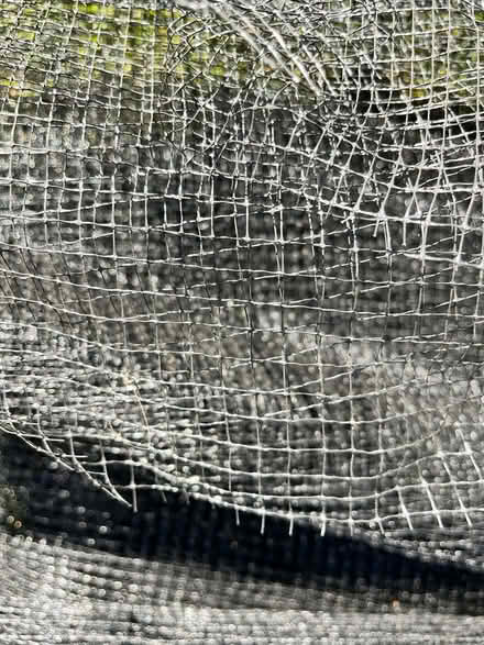 Photo of free Netting for alotment? (CM12) #2