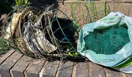 Photo of free Hanging baskets (south hereford 3miles) #1