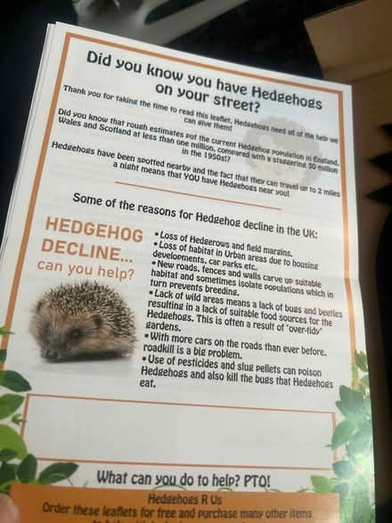 Photo of free Hedgehog hole (BR1 Sundridge park) #2