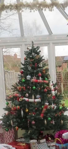 Photo of free Tall Christmas tree (Ambergate) #1