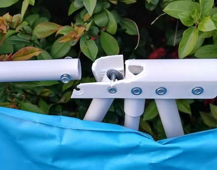 Photo of free Large Dog grooming bath (Tamworth, B77) #2