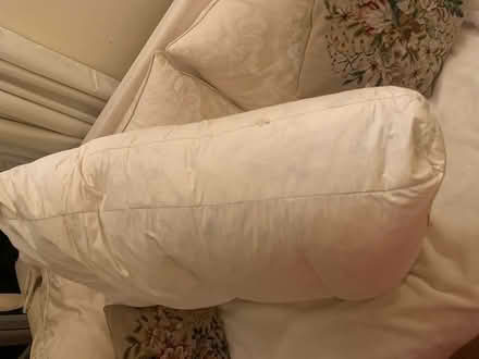 Photo of free 6 large Feather cushions (Shillingstone. Dorset) #1