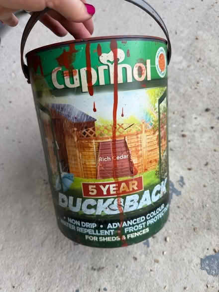 Photo of free Cuprinol cedar fence stain (Hersham KT12) #1