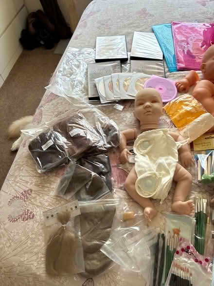 Photo of free Reborn doll making kits (Minchinhampton GL6) #1