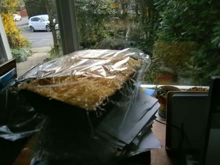 Photo of free easter nest (Keresley Newlands CV7) #2