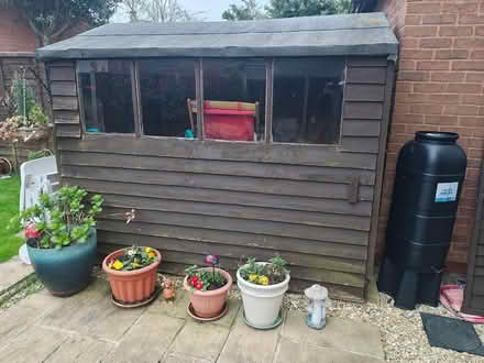Photo of free Wooden shed 8ftx6ftx6ft 3 tall (BS24 7EB) #2