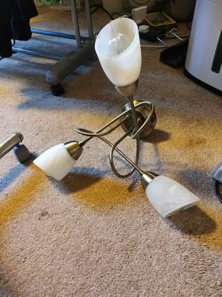 Photo of free Ceiling lights (EH16, Prestonfield) #2