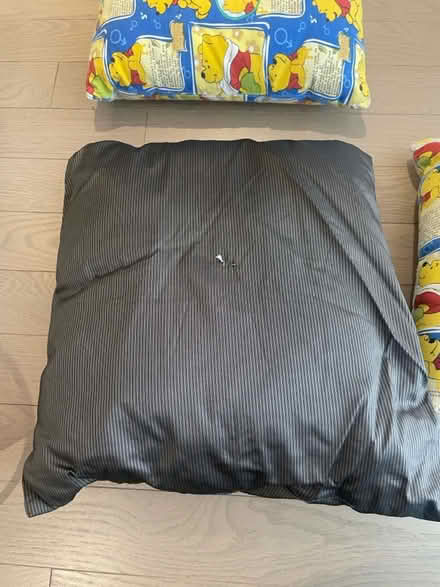 Photo of free Winnie the Pooh cushions (Kennedy/16th in Markham) #3