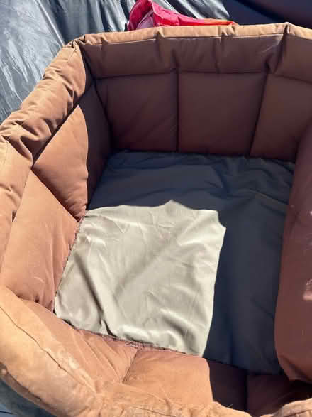 Photo of free Large Dog Bed (Wickford SS11) #3